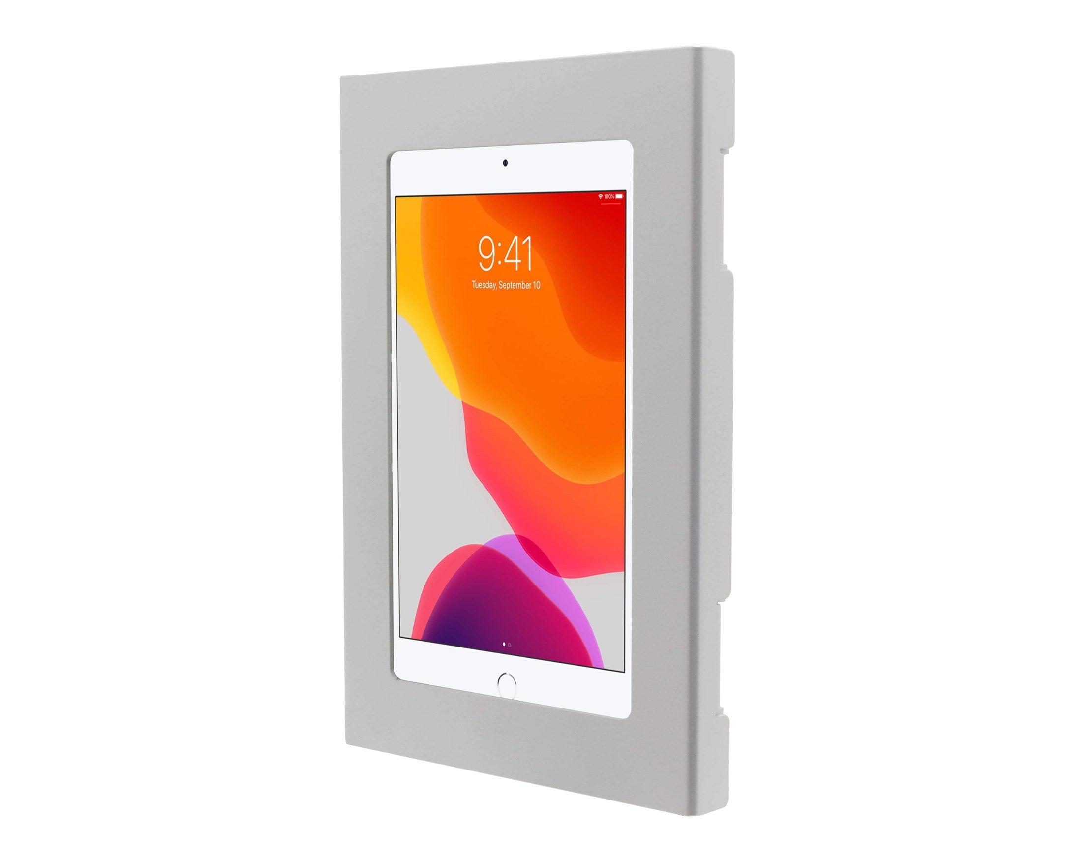4. Metal Apple iPad mini Locking Security Wall Mount Enclosure