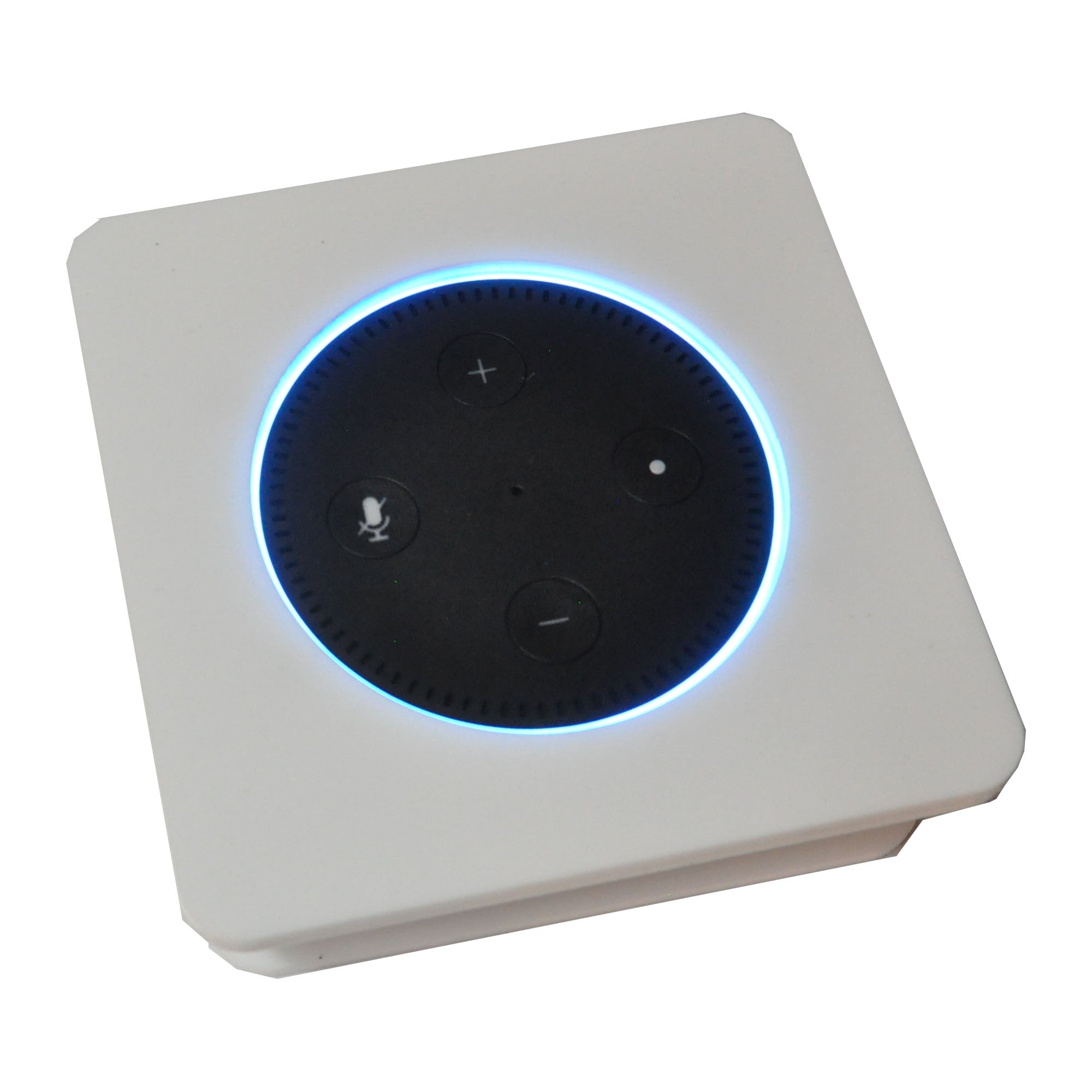Echo Dot 3G in Gray (2-Pack) AMZ-DOT3G2PK-DIY - The Home Depot